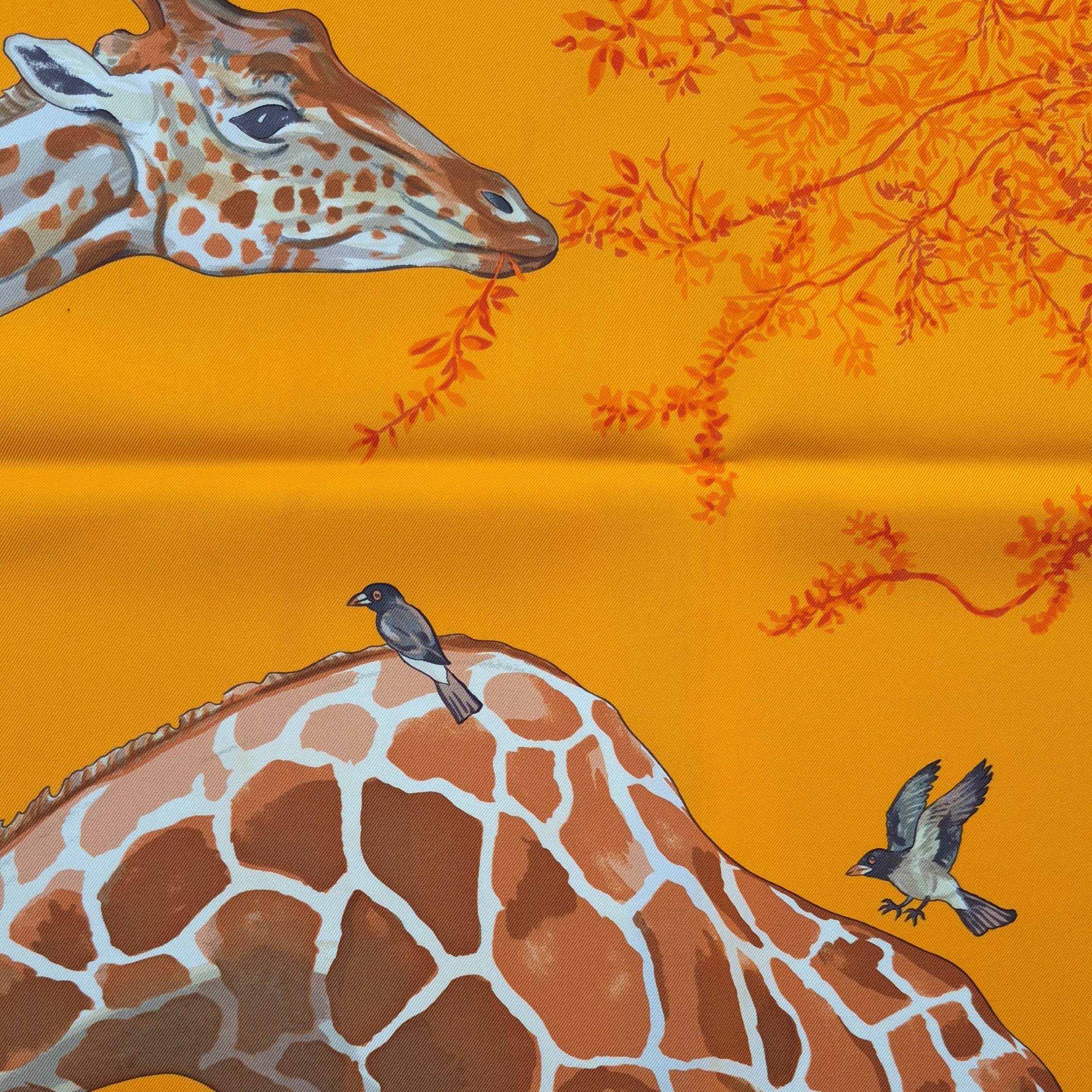 hermes les girafes robert dallet silk scarf orange giraffes savanna detail