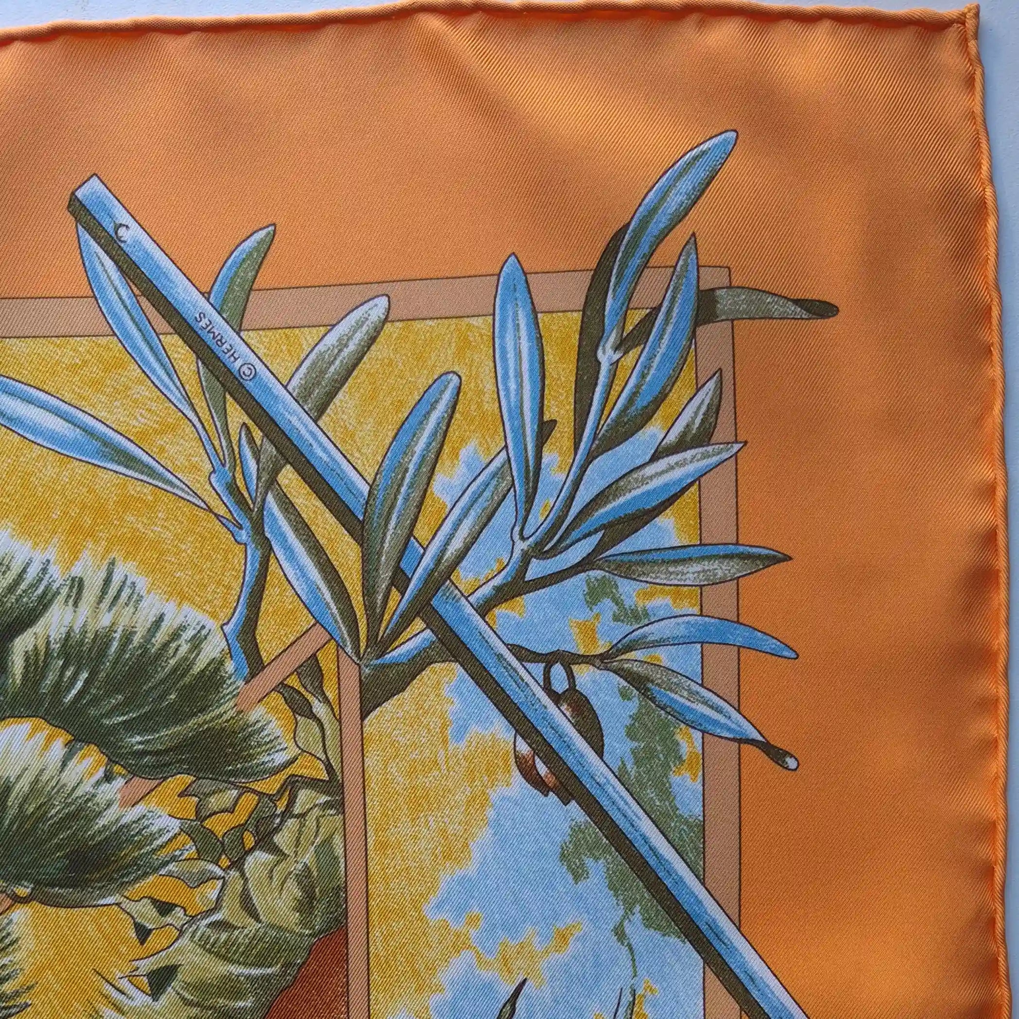 hermes promenade pays cezanne laurence bourthoumieux orange silk scarf 2006 limited edition detail